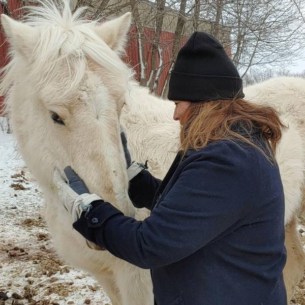 Recknagel Lessons and Leasing