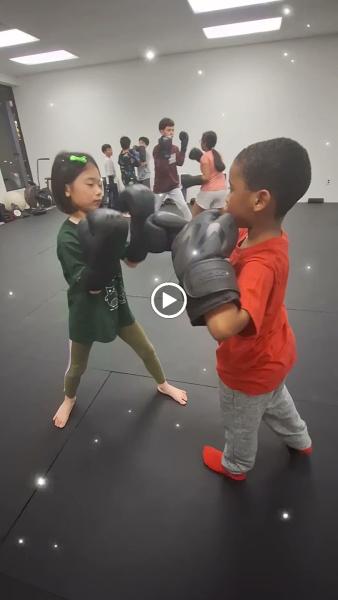 Fitkick! Mixed Martial Arts