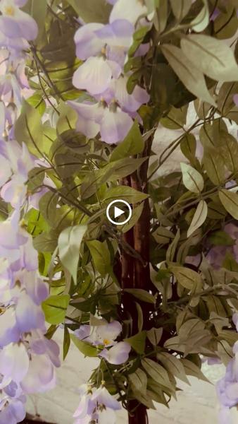 Raw Beauty Lounge and the Lash Academy