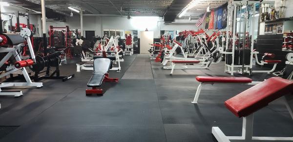 Absolute Fitness