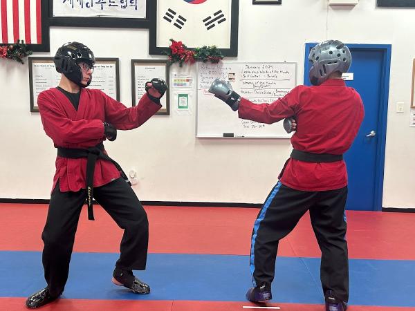 Roman's Shin Karate Institute