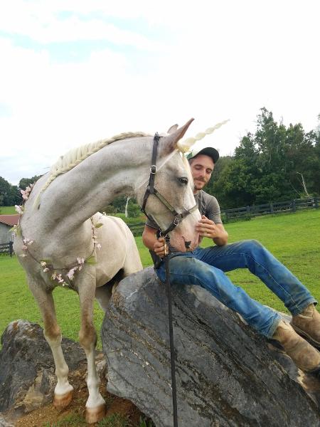 Misty Mountain Stables