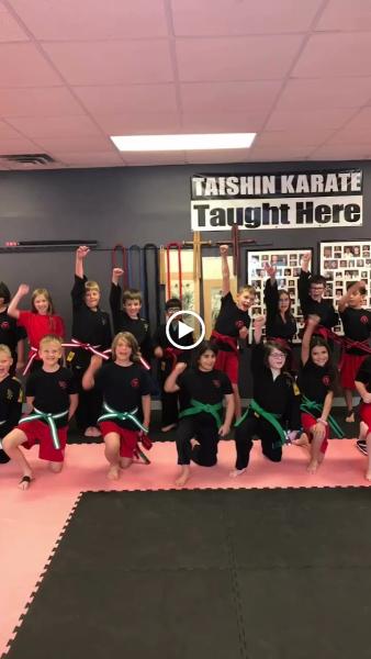 Lincoln Karate Clinic