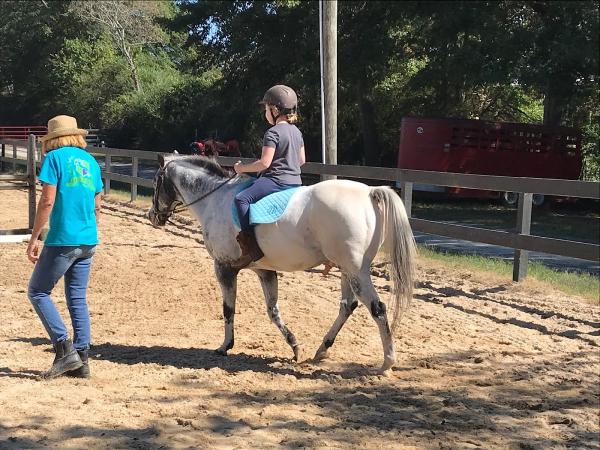 Bay Creek Farm