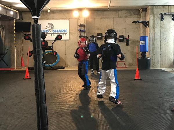 Land Shark Martial Arts