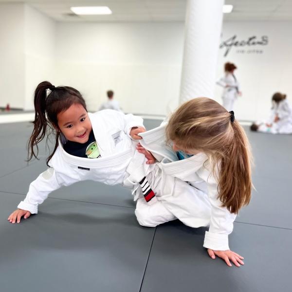 Profectus Jiu-Jitsu Hendersonville