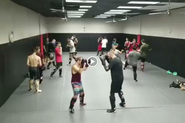 Fitness Fight Factory Haslet