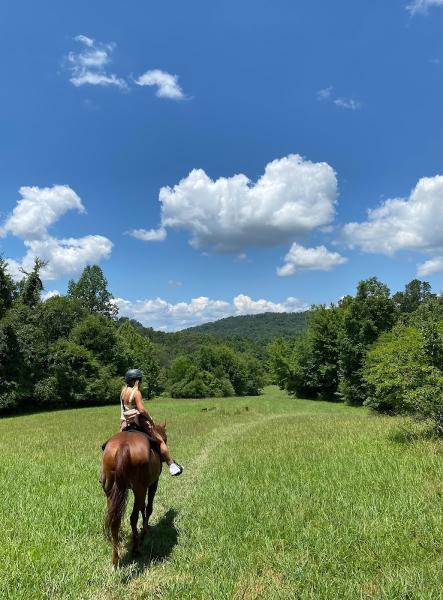 Hidden Hills Farm & Saddle Club
