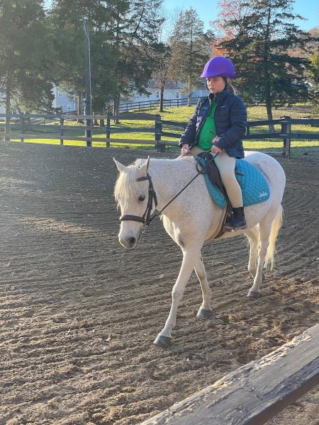 Topline Equestrian