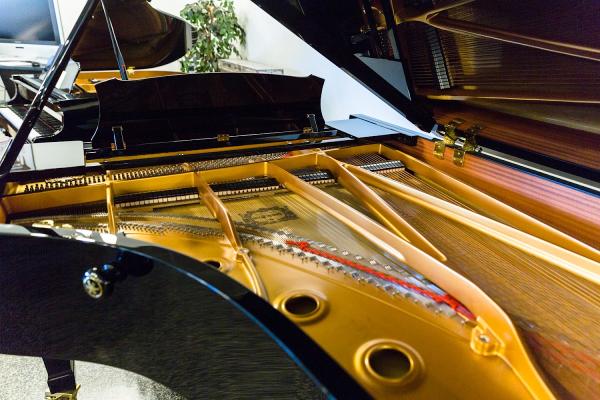 Vincitore's Hudson Valley Piano Center