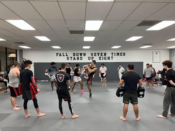 Tao of Jiu Jitsu