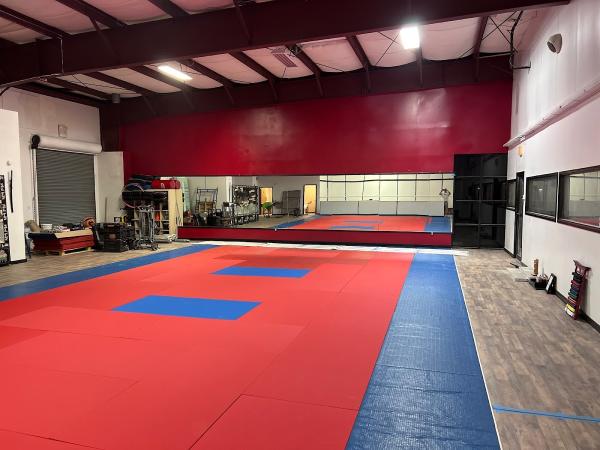 Japan Karate Institute