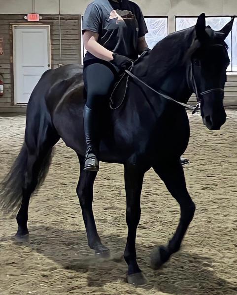 Chrislar Horse Farm and Equestrian Center