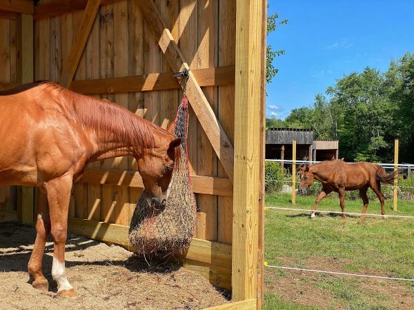 Equine Valley Stables