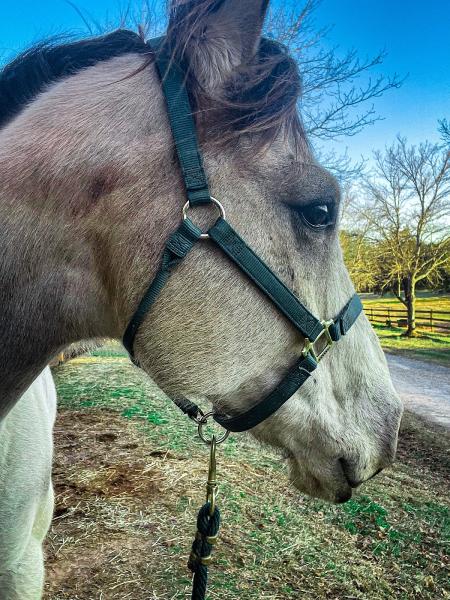 Night and Day Riding