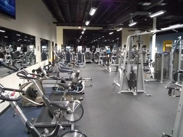 Samfit