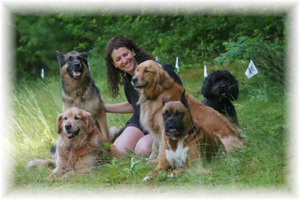 Dogwatch Hidden Fence of the Triad