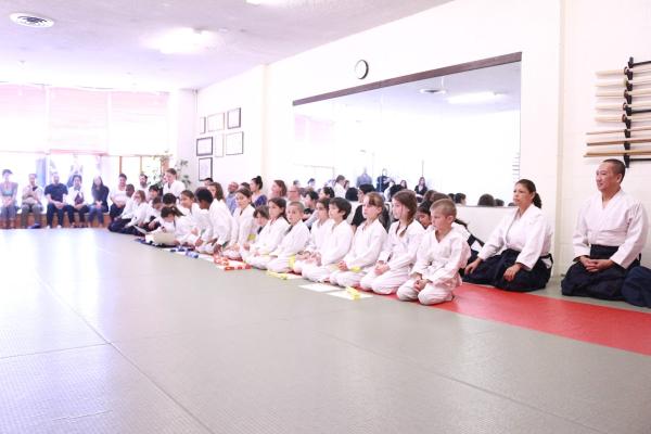 Aikido Cultural Institute
