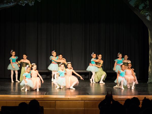 Sunghee Ballet Academy