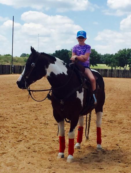 Crimson Jewel Equestrian