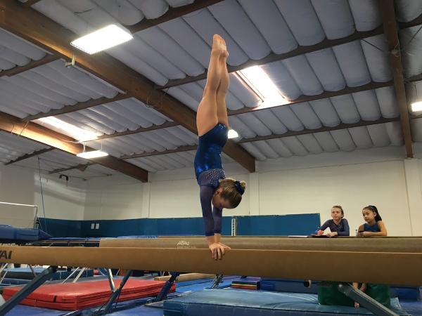 Marin Elite Gymnastics Academy Mega