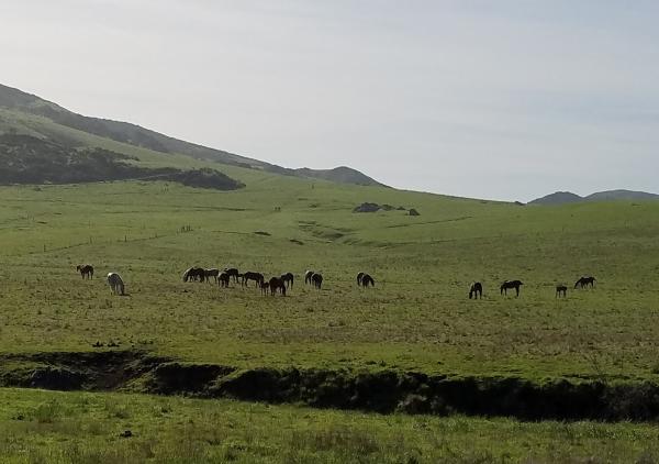 Madonna Ranch