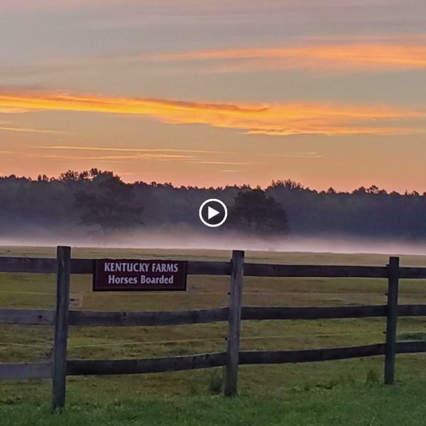 Kentucky Farms