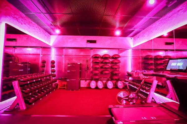 Flex Fitness MN