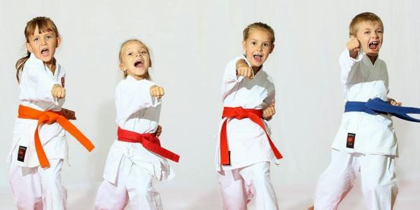 Bucksmont Tae Kwon Do and Martial Arts
