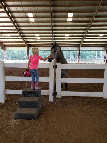 Lone Star Arabians