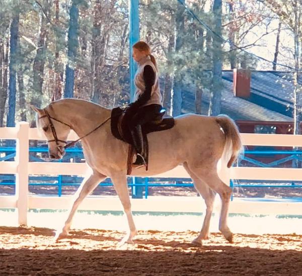 Lone Star Arabians