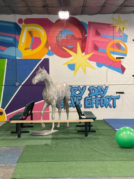 Edge Kids Gym