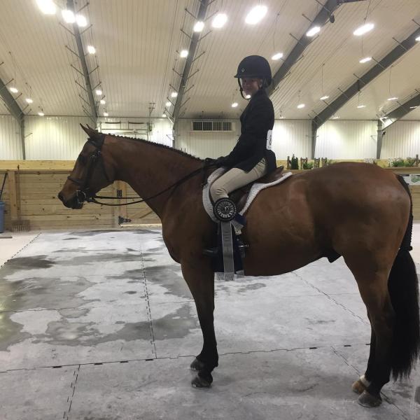 David Beisel Stables