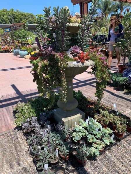 Terra Sol Garden Center