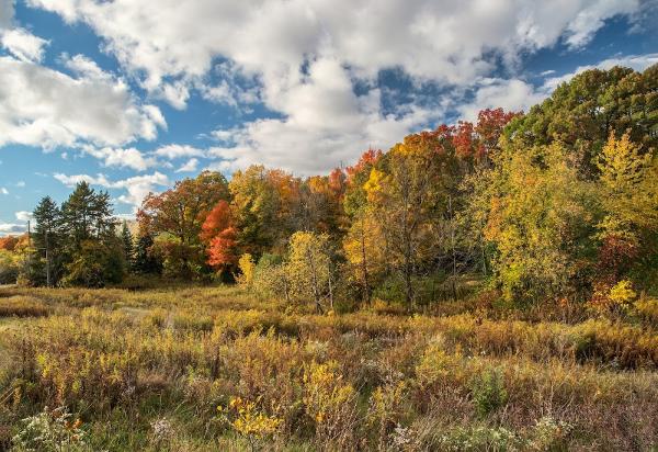 Jmba Recreation and Fitness Center