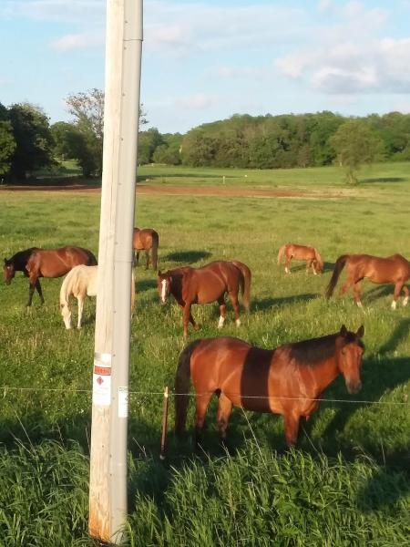 Devils Lake Farm