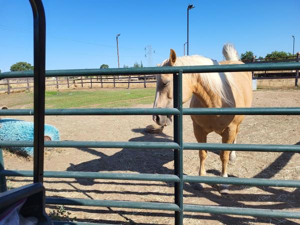 Ria's Ranch