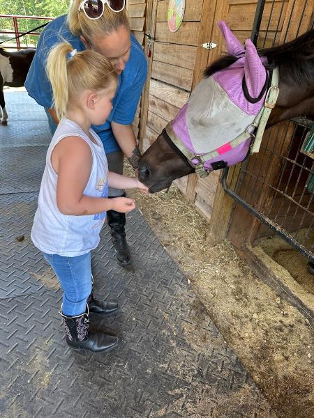 Sandy Hills Stables