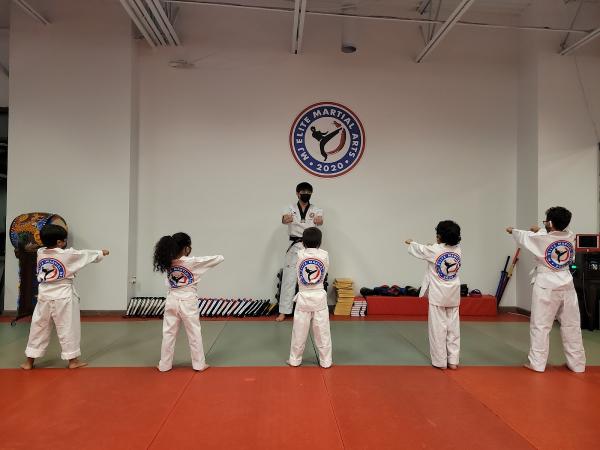 MJ Elite Martial Arts