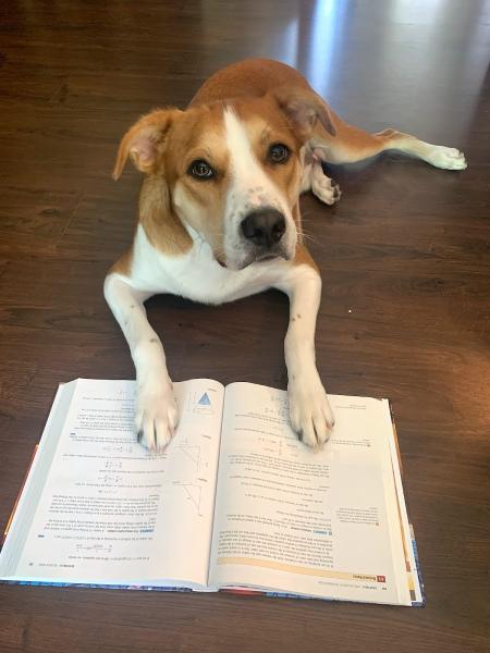 Morgan's Method Tutoring