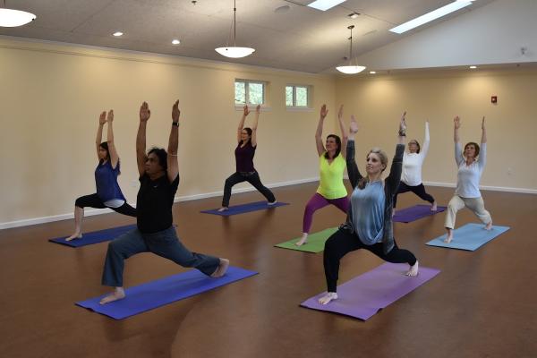 Ananda Institute of Living Yoga