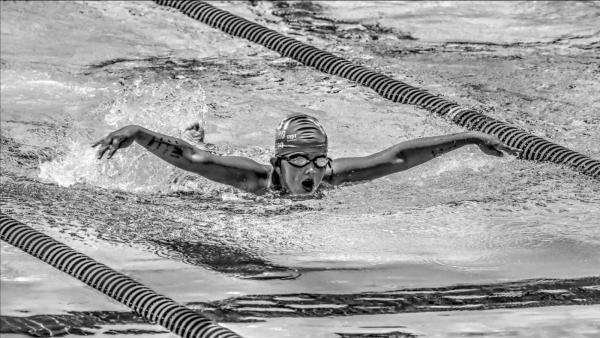 Carrollwood Village Swim Team