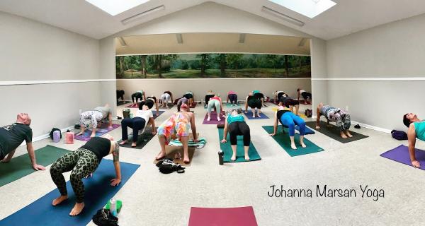 Veda Lila School of Yoga With Johanna Marsan E-Ryt500