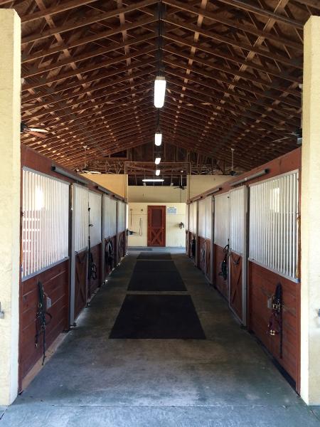 SS Show Jumping Stables