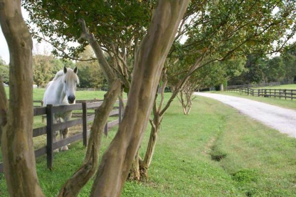 Twin Creek Equestrian Center