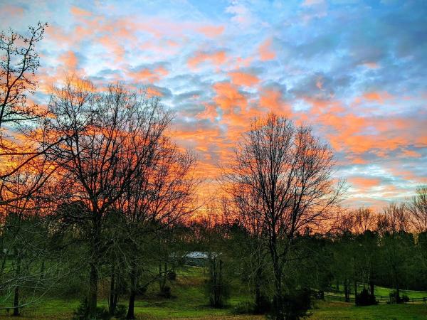 Twin Creek Equestrian Center