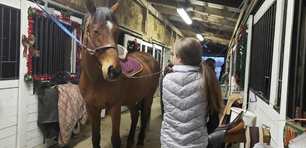 Justamere Equestrian Centre