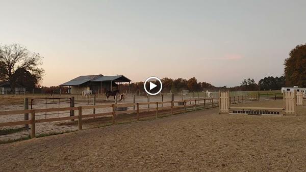 Hidden Springs Stables