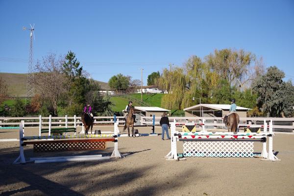 Tally Hawk Stables