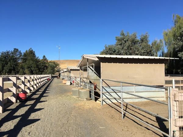 Tally Hawk Stables